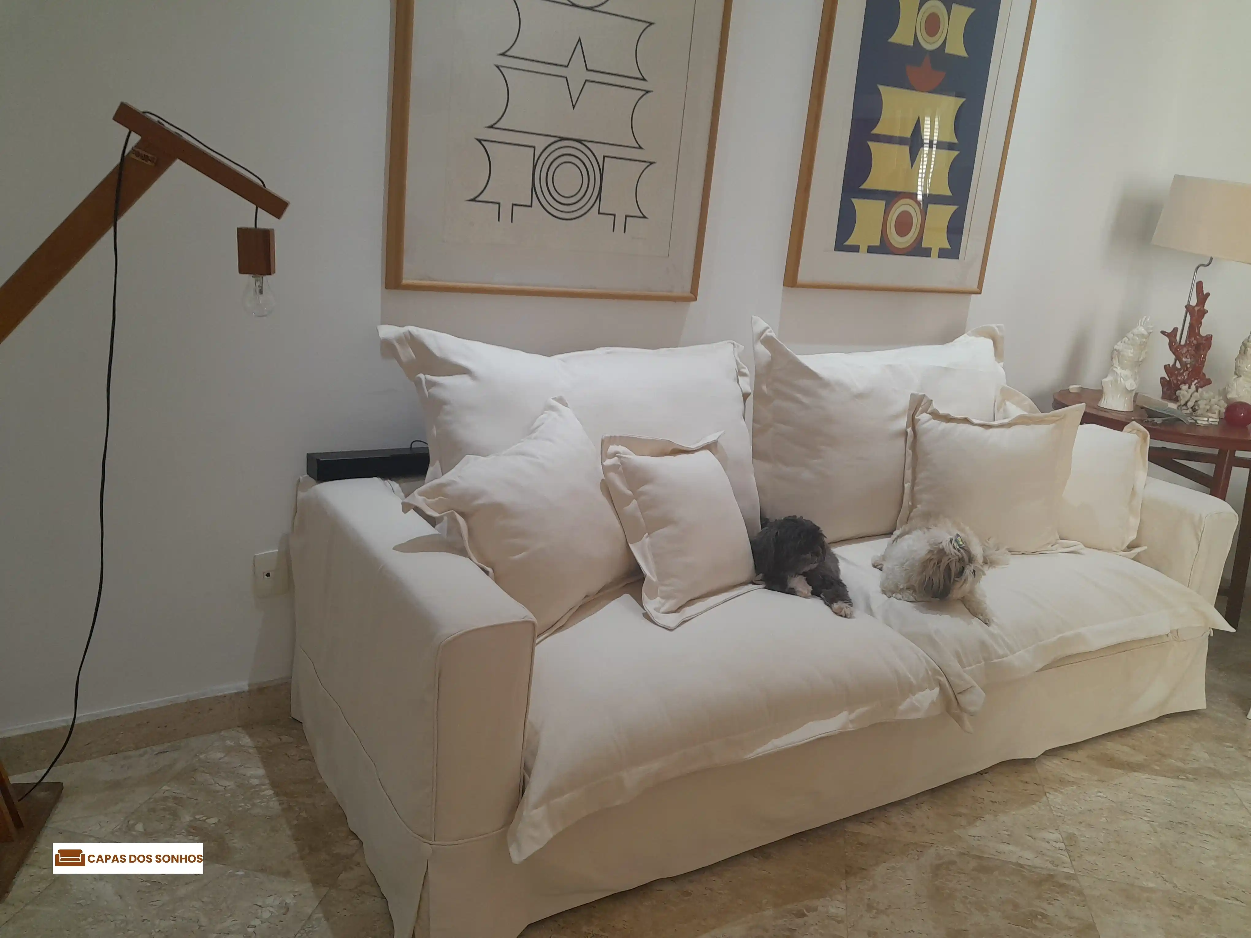 Capas resistentes para pets